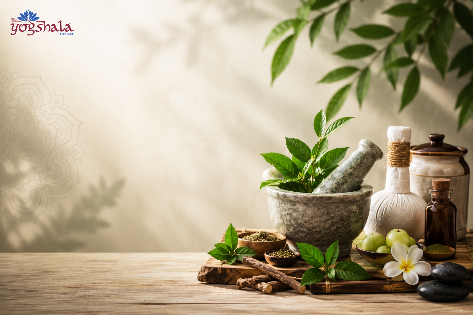 Ayurvedic Doctor